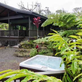 Hot tub surrounded by tropical plants off the dining room lanai